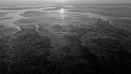 Bassin Arcachon...Marée basse !