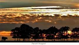 Crépuscule Campagnard