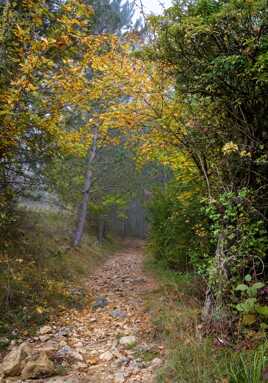 Le chemin de Florac 2