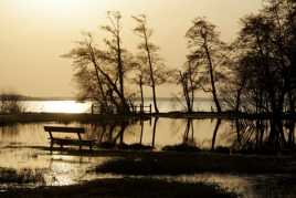 Le banc délaissé !