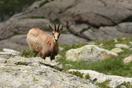 recontre en montagne