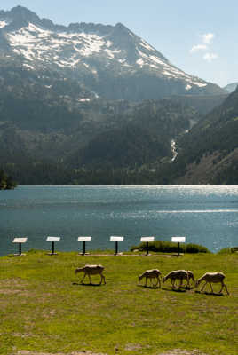 La chorale s'installe