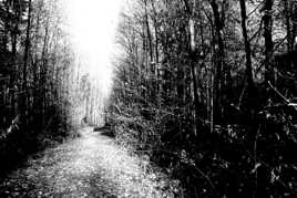 Comme à l'encre de chine...