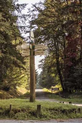 Forêt des Bertranges