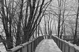 Matin d'hiver à la rivière des Mille-Îles