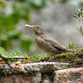L'heure du déjeuner