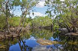 Lakefield National Park