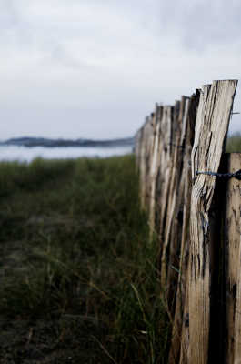 Plage d'automne