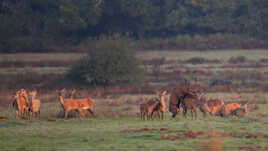 Quand il y a de la gène il n'y a pas de plaisir.....