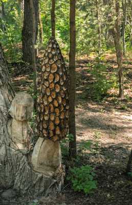 Une morille en Août ^^