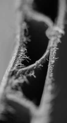 mais ké ce c'est ???