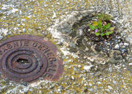 Compagnie Générale