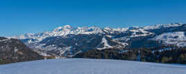 Mt Blanc panoramique