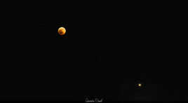 Les stars de la soirée