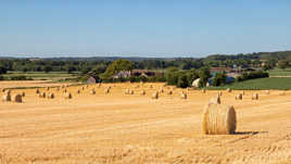 Déjà les moissons !