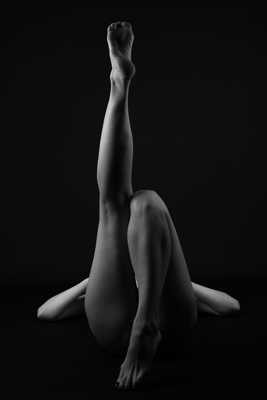 les belles gambettes