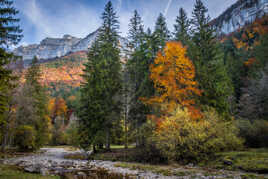 Toujours Saint Même