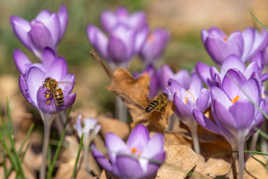 Il n'y a pas de temps à perdre
