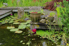 Vue partielle d'un étang japonais