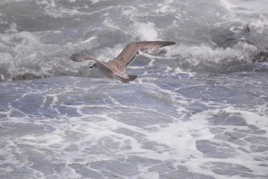 lendemain de tempête