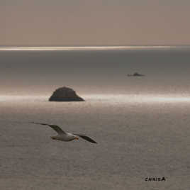 petit coin de ciel breton