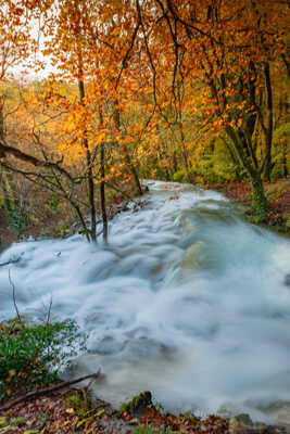 Au dessus de la cascade