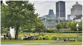Entre nature et ville un après-midi d'été