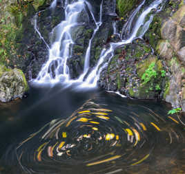 cascade du Bouchot - Vosges