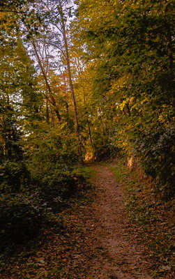 petit chemin fin après-midi