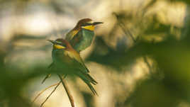 la journée commence bien