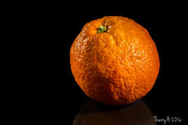 Portrait...d'Orange