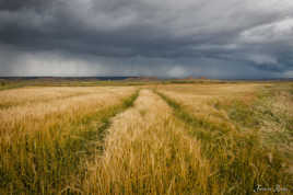 L'orage approche