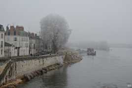 Début d'année sur les bords de Loire