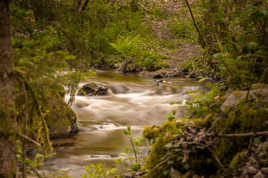 Un petit cours d'eau