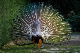 L’envers du décor