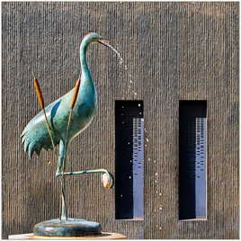 L'oiseau aux roseaux