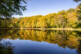 L'étang de la Herse (2)