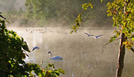 Un petit coin de paradis