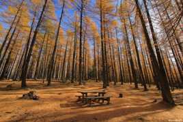 Une pause pour picniquer ou méditer ?