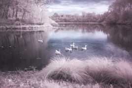 Le lac en infrarouge