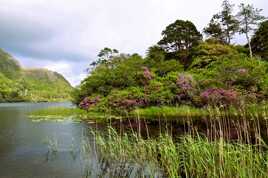 Lac de Pollacapall