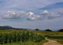 Courbes, lignes, ciel!