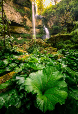 Welcome to the (jurassienne) jungle