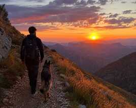 Ballade en montagne avec mon Berger allemand