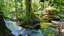 Descendre ou remonter le cours...