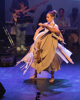 Cygne à quatre pattes