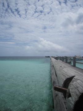 Heron Island