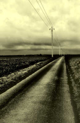 Ligne de fuite