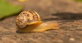 Lentement je deconfine !!!