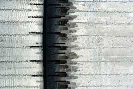 Gravitation dissidente